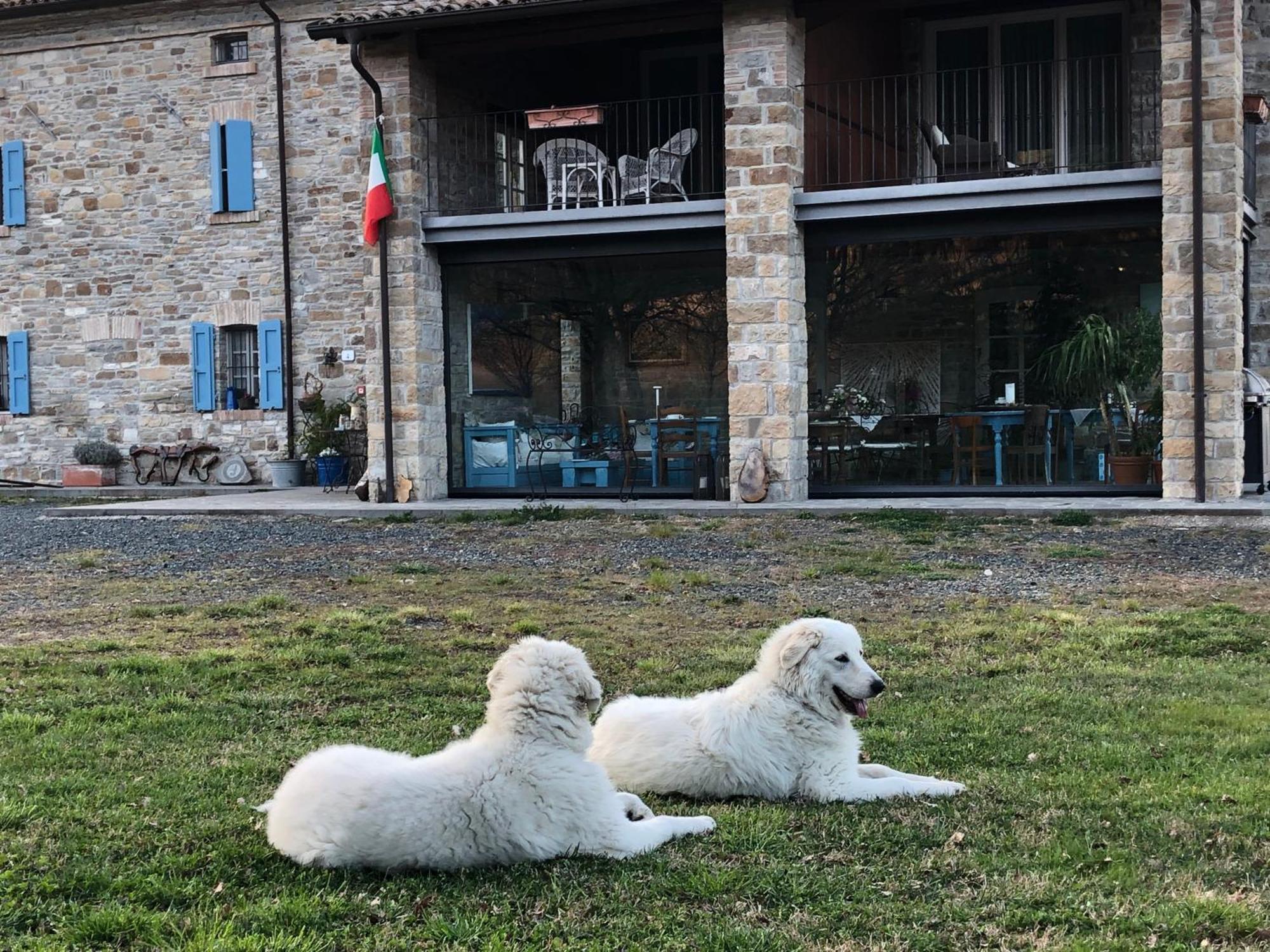 La Locanda Nel Vento Calestano Kültér fotó